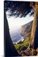 image thumbnail of Coastal View Between Trees, Ragged Point, Big Sur Coast, California