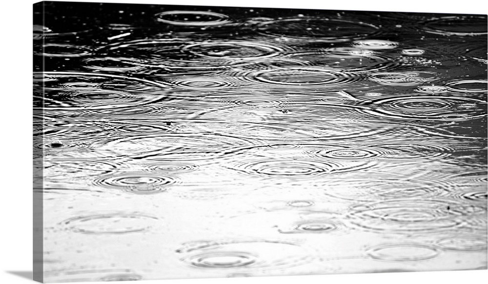 Rain splashing on the surface of a pond.