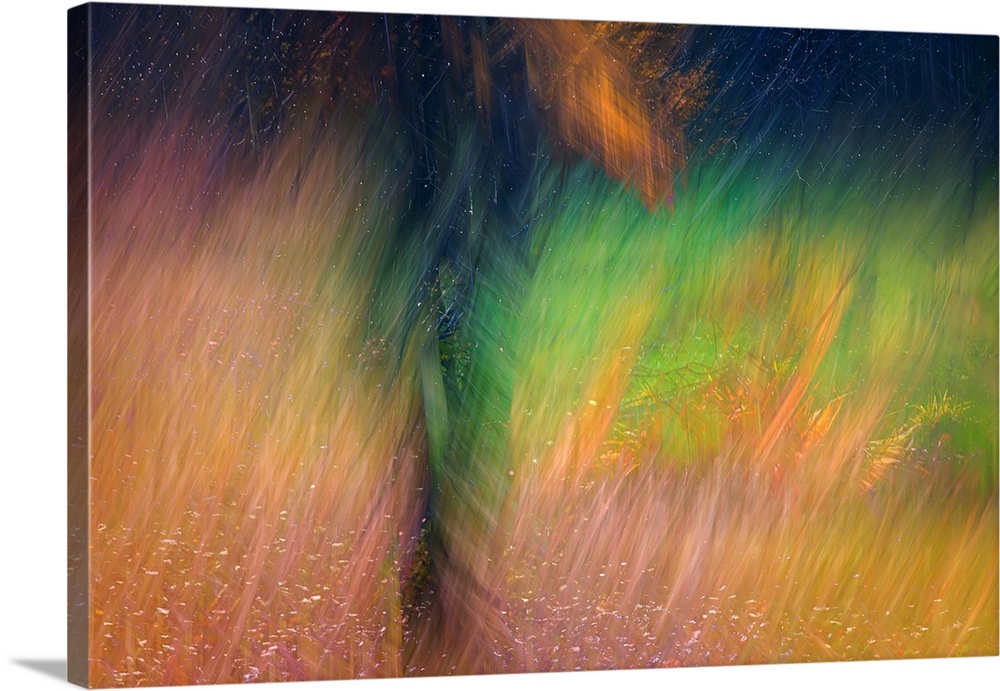 Abstract image of a tree in Autumn right after a rain storm. The image was made using the in-camera burst multiple exposur...