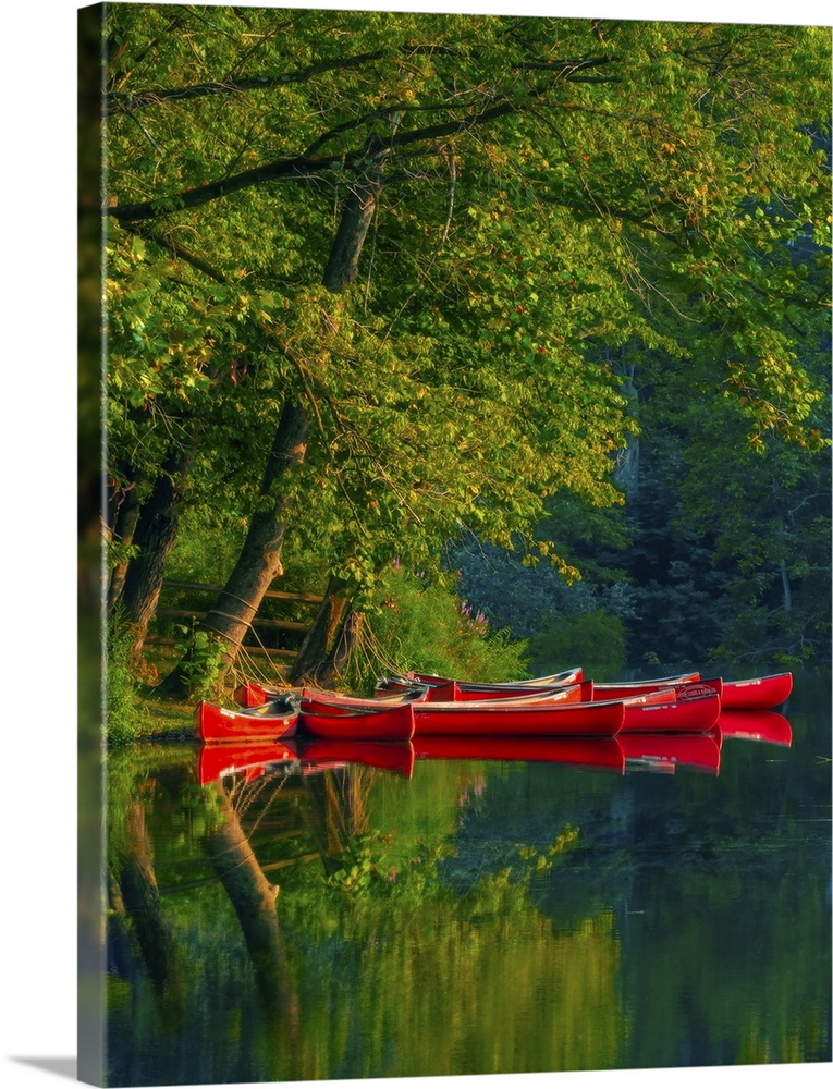 Bright red canoes on the water at the edge of a forest.