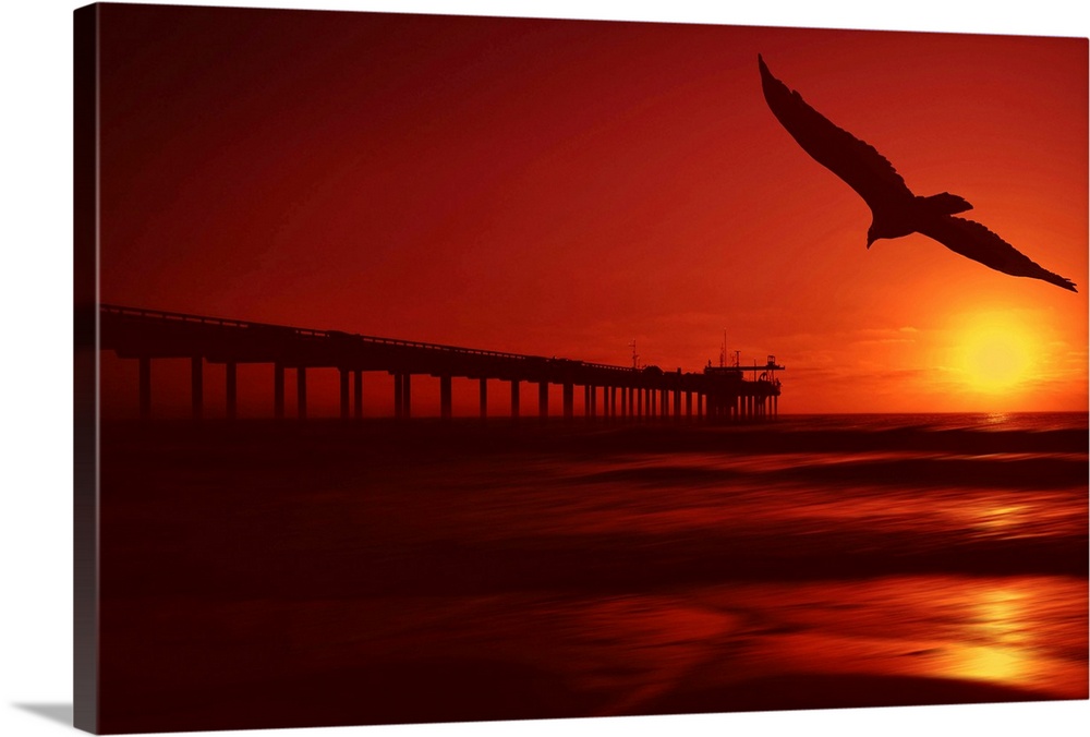 The sun setting fills this piece with warm tones throughout and a long pier stretches out into the ocean. A bird soars thr...