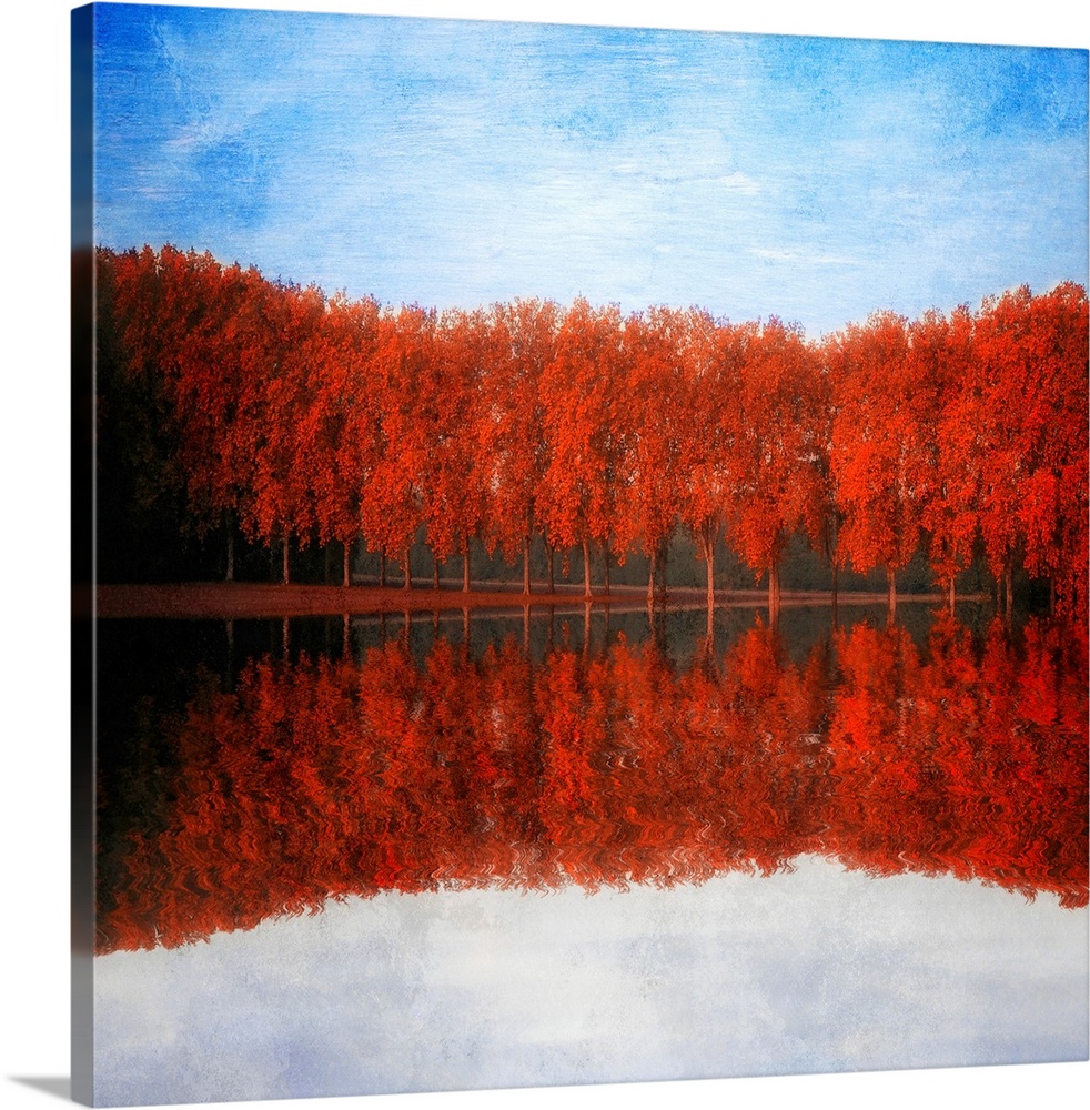 Reflections of red trees by a lake
