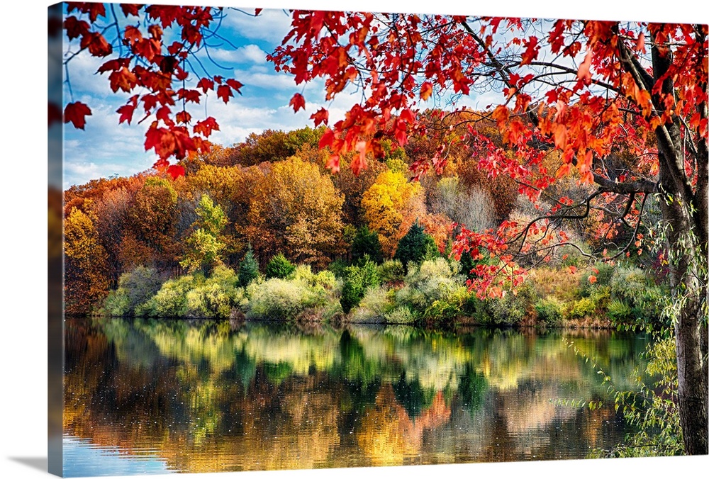 Fine art photo of a tree with bright leaves at the edge of a lake with the reflection of a fall forest.
