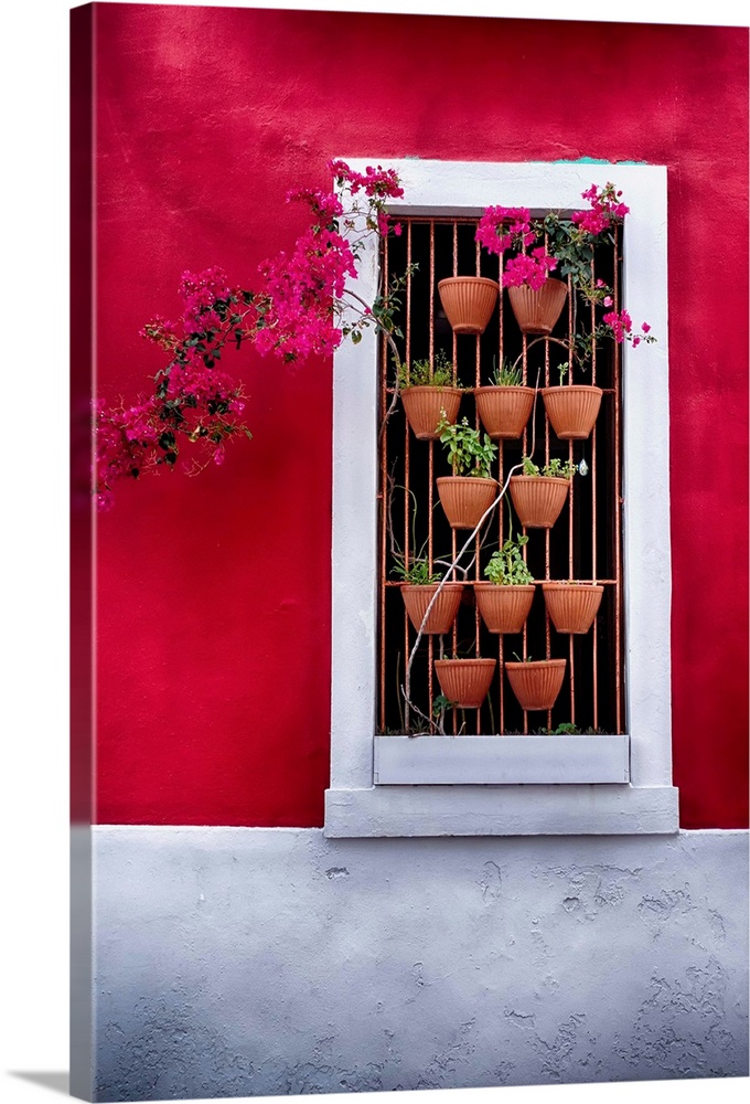 Fine art photo of a window in a red wall with several potted plants.