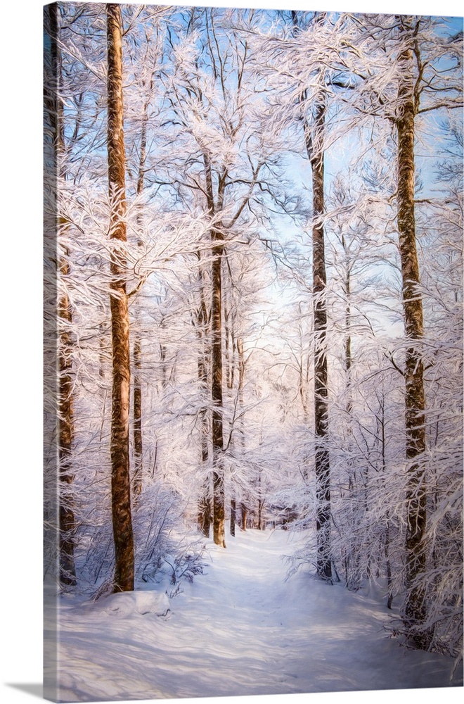 Photo Expressionism - Path in a snowy forest.