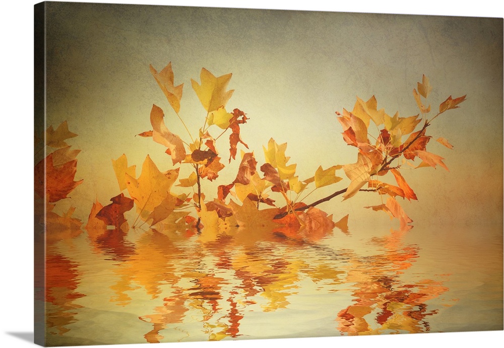 A branch with orange leaves submerged in a puddle, reflected in the water.
