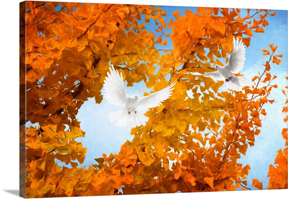 Fine art photograph of two white doves flying in front of a tree with bright orange leaves.