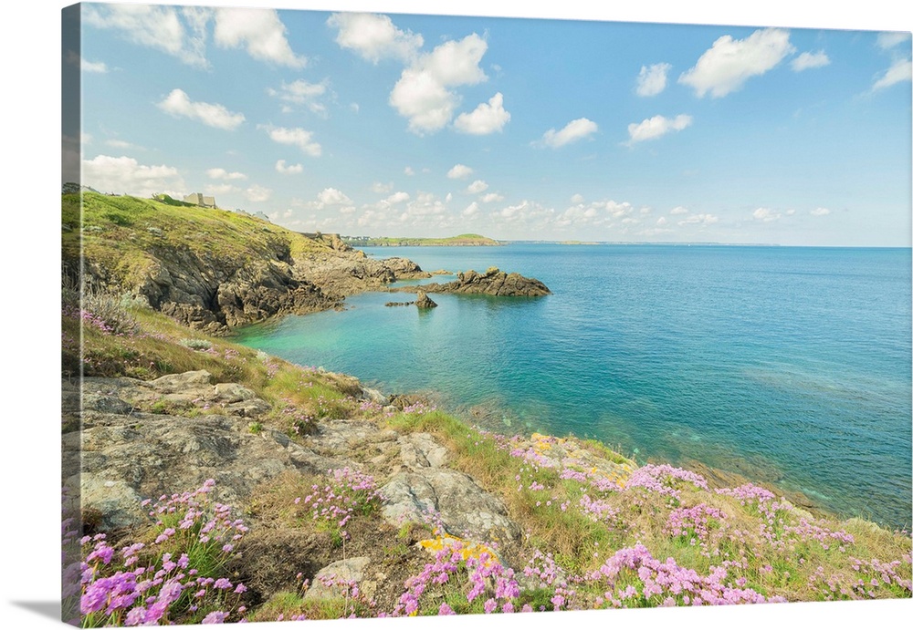 Pink flowers on the coast of St. Lunaire in northern France, overlooking a turquoise ocean.