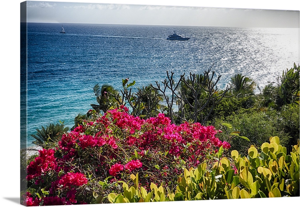 A photograph of a seascape from a viewpoint with flowers in the foreground.