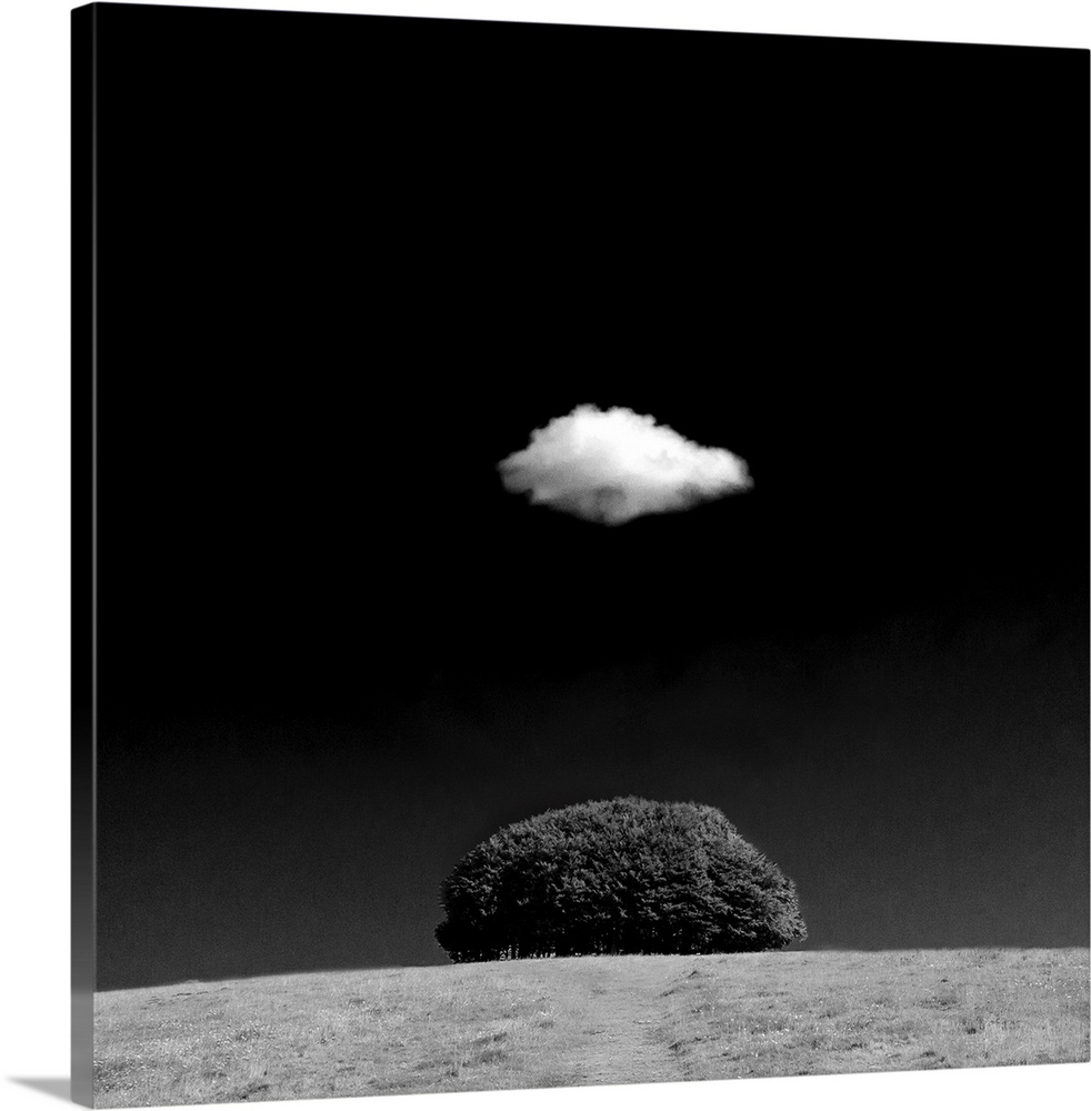 A zen-like monochrome black and white landscape with a small copse of trees on a domed hilltop over white a tiny white flu...