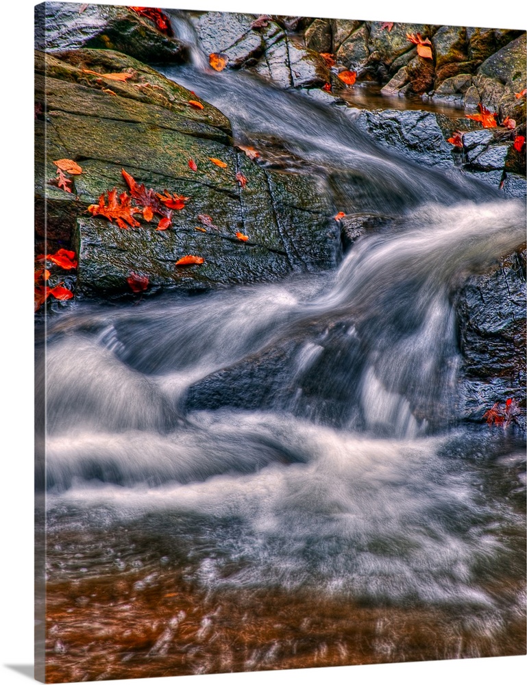 A waterfall rushing over rocks, decorated with fallen leaves, in a forest in northern Virginia.