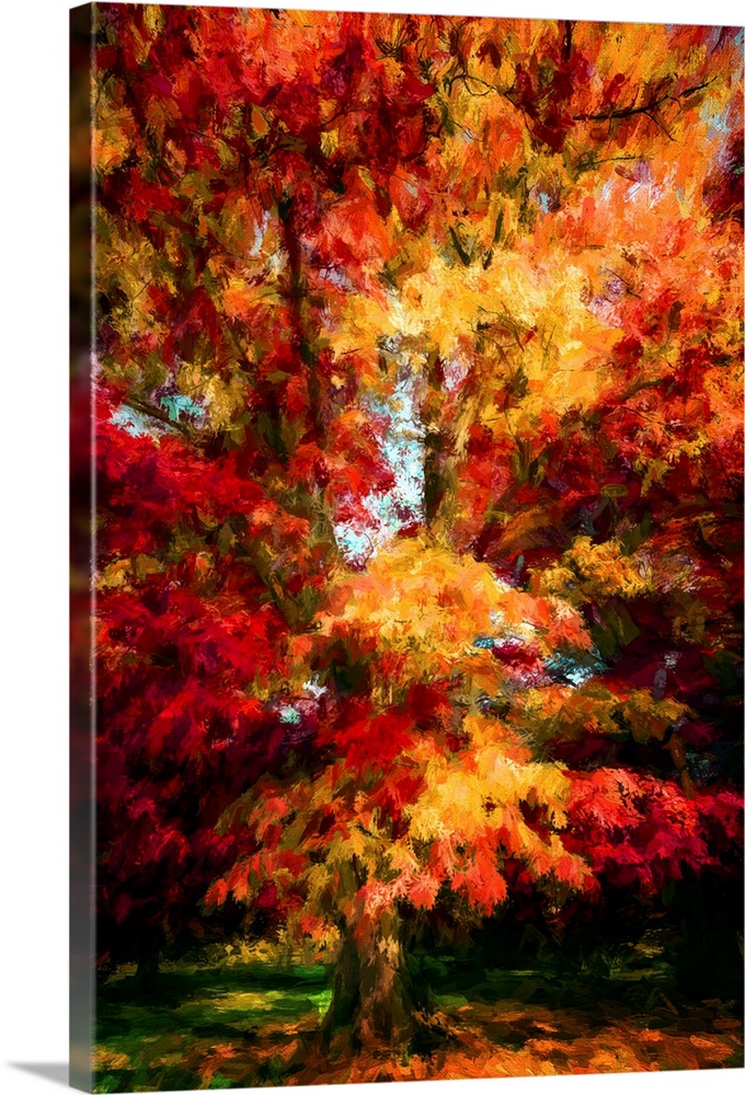 Oak in autumn colors with a expressionist photo or painterly effect
