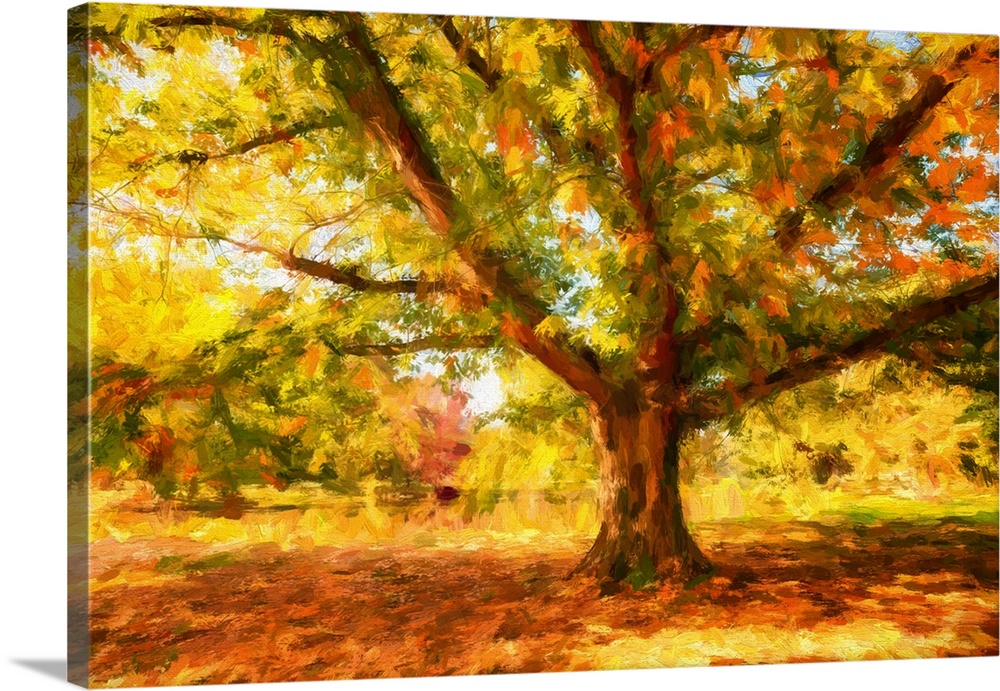 Expressionist photo or painterly effect on tree in autumn