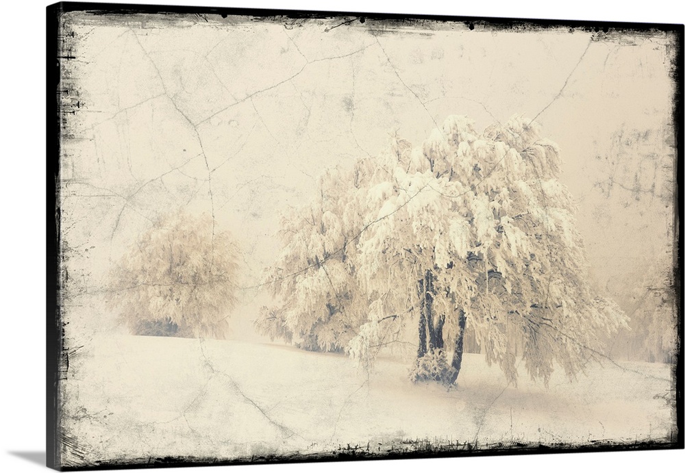Trees under the snow with the addition of a photo texture