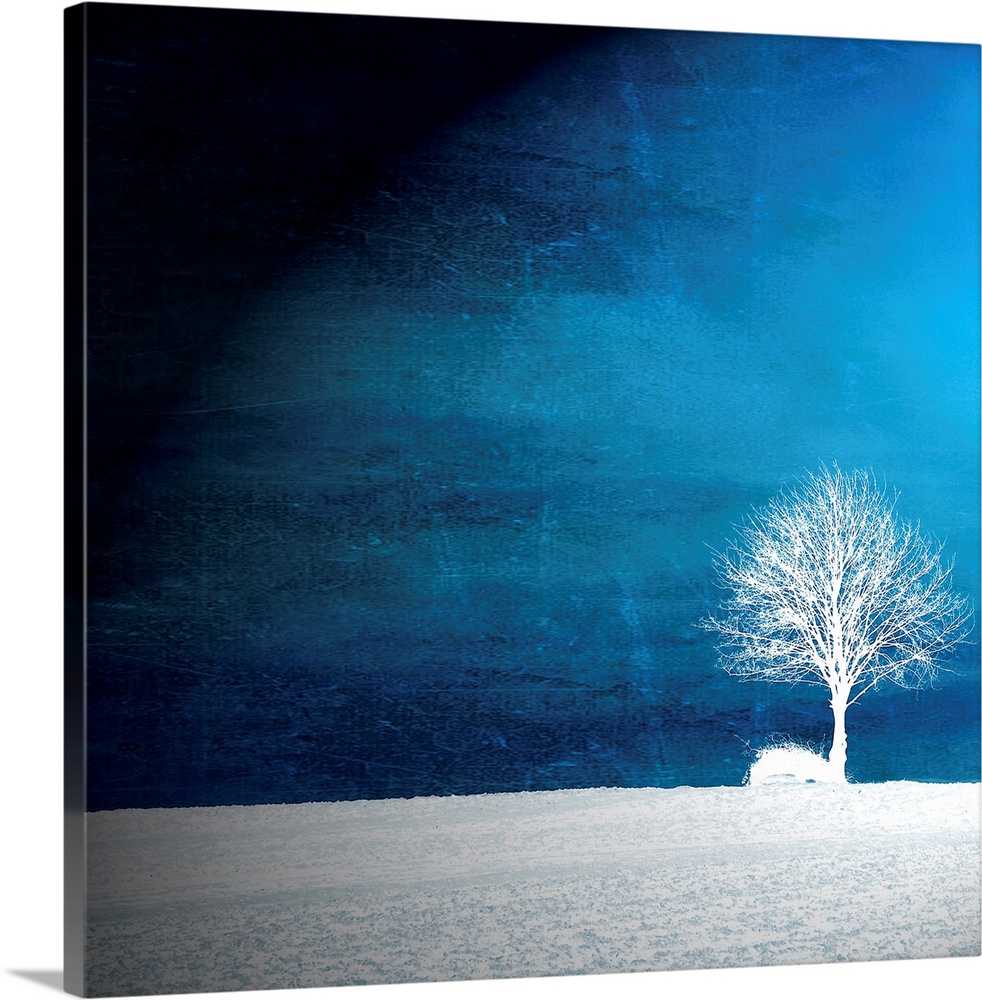 This oversize piece shows a single tree in white sitting in a bare field with a vibrant blue sky surrounding it.