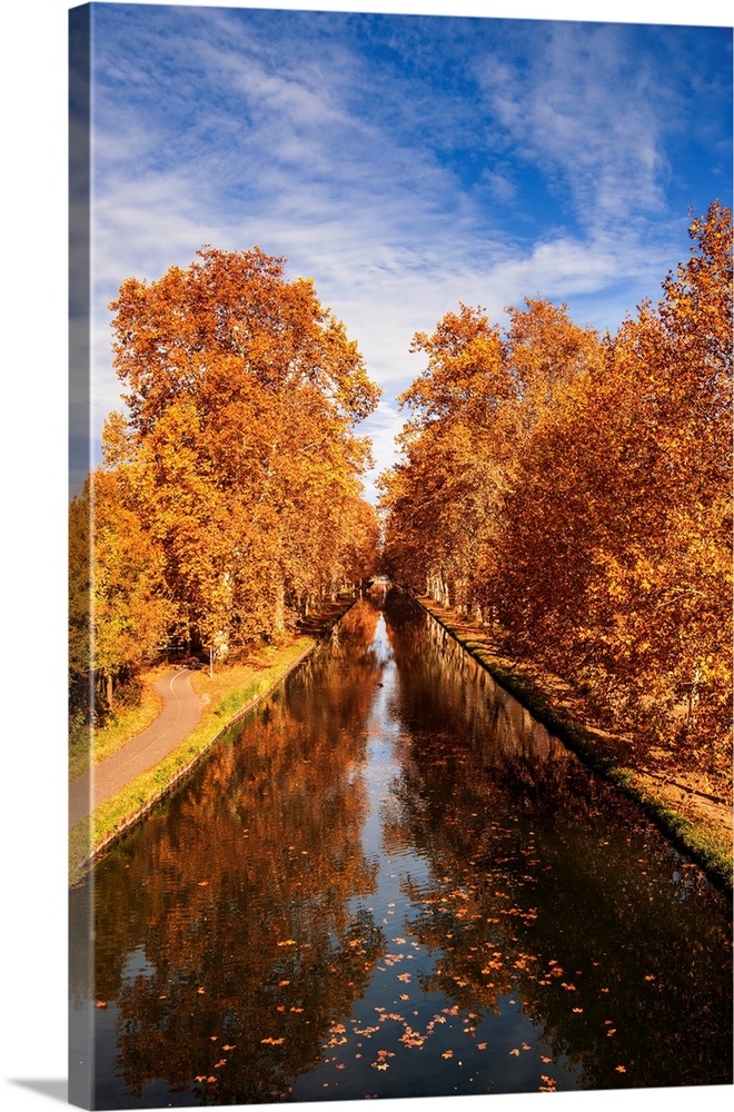 Trees in the fall along a canal