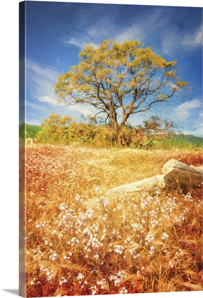 Photo painting of a beautiful Fall day with long orange and yellow grass with flowers and a tree in the background with br...