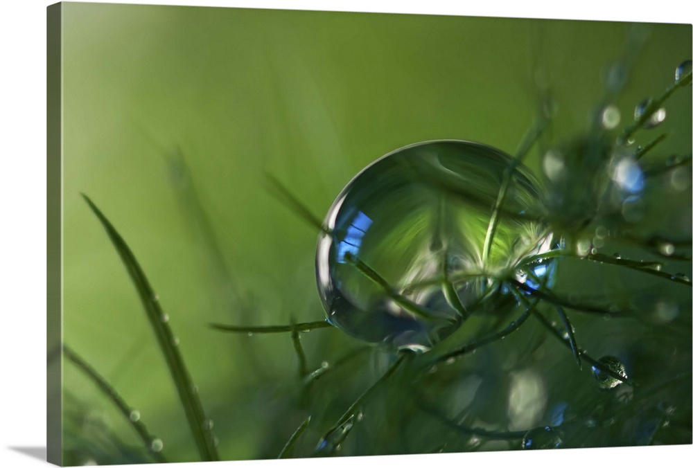 A macro photograph of a water droplet sitting on a blades of grass.