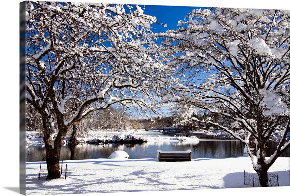 Snow Covered Trees, Winter Scenic, South Branch of Raritan River, Clinton, New Jersey