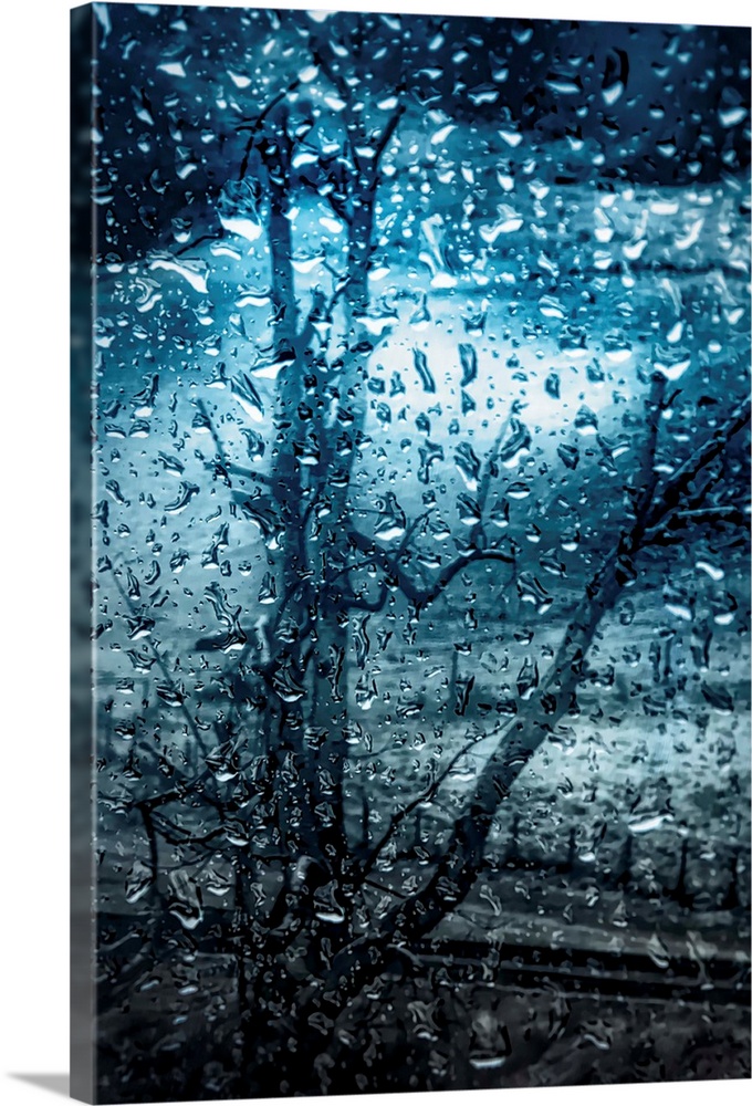 Cool toned photograph of large rain droplets with a bare tree in the background.