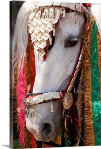 So Elegant I image thumbnail