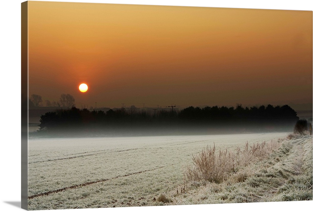 Warm misty sunset over a winter frosted field and trees with an orange glow.