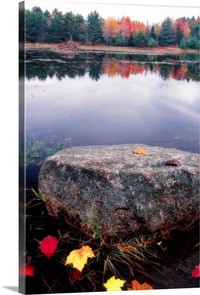 Photograph of huge rock in a pond surrounded by fallen autumn leaves with forest in the distance that is reflected in the ...