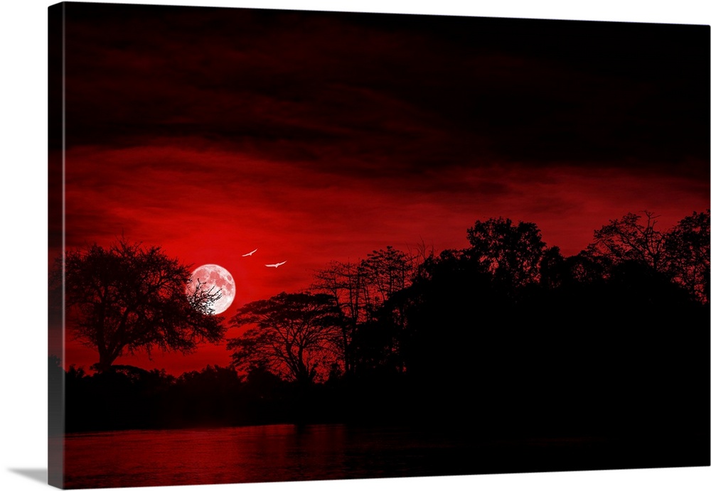 Sunset with a moon and birds, shot with a red filter