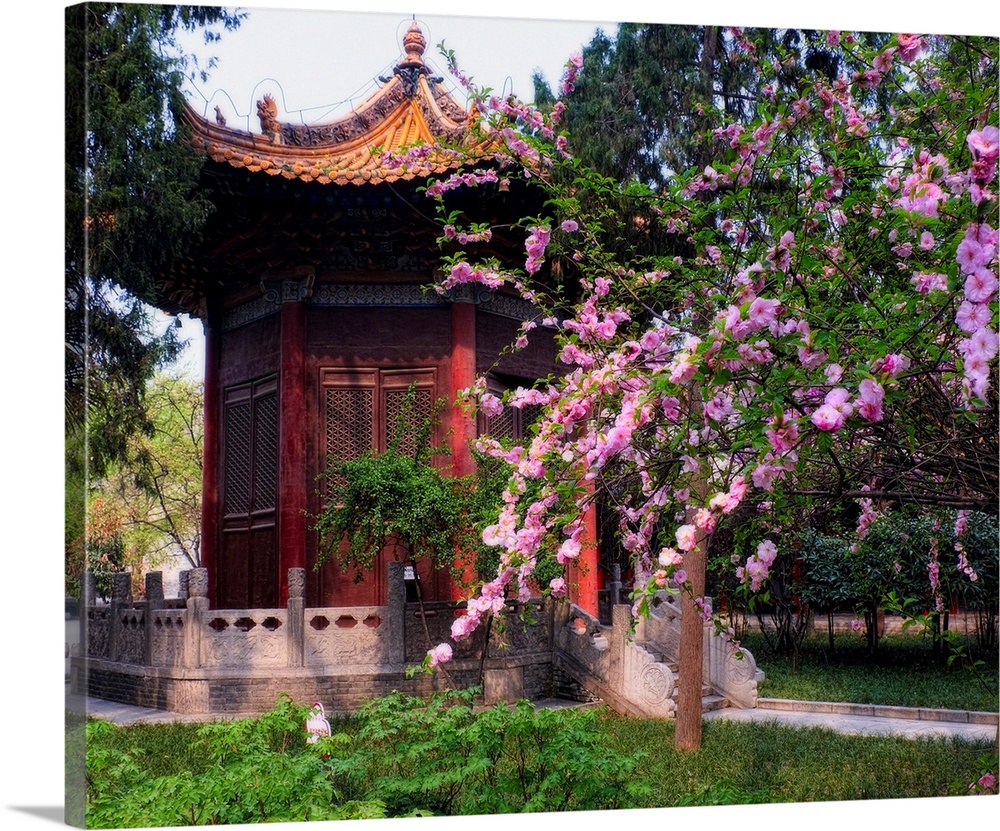 Garden pavilion in a garden with blooming cherry trees, Beilin Museum Xian, China.