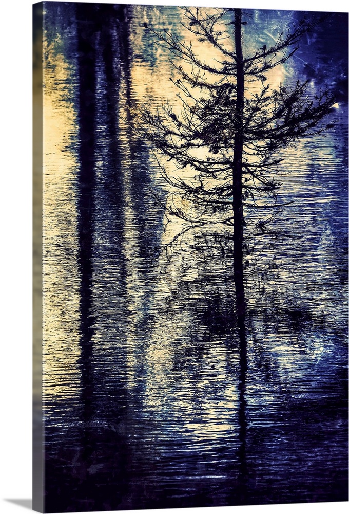 Dreamy photograph of a skinny tree reflecting into rippled water.
