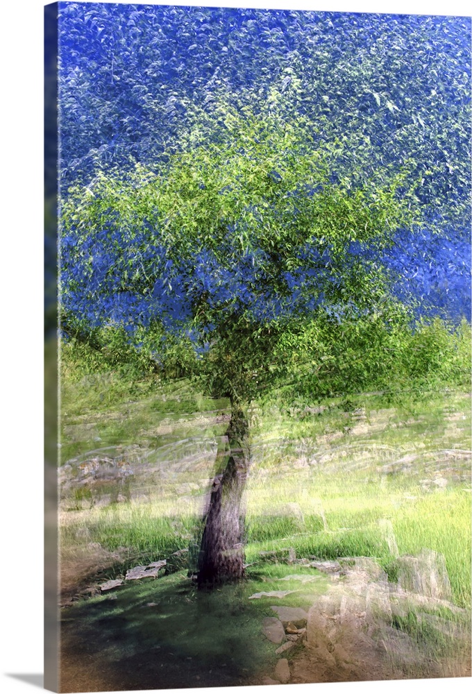 Dream-like photograph of a tree with bright green leaves scattered into the air and movement on the ground created by a lo...
