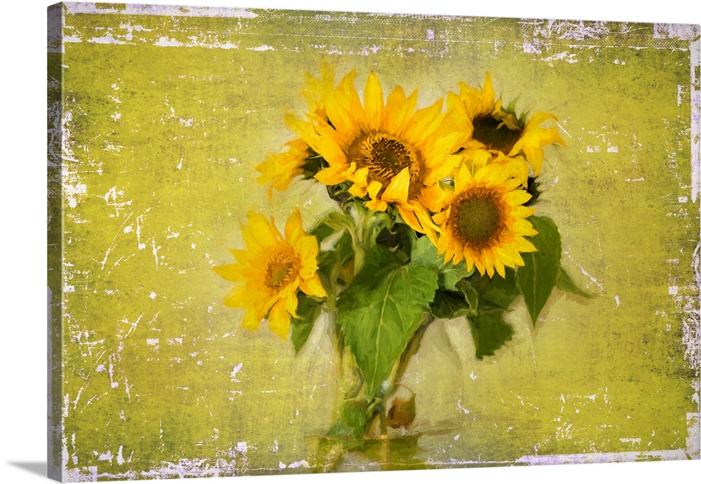 Photograph of a bouquet of sunflowers in a glass jar on a green and white weathered background.