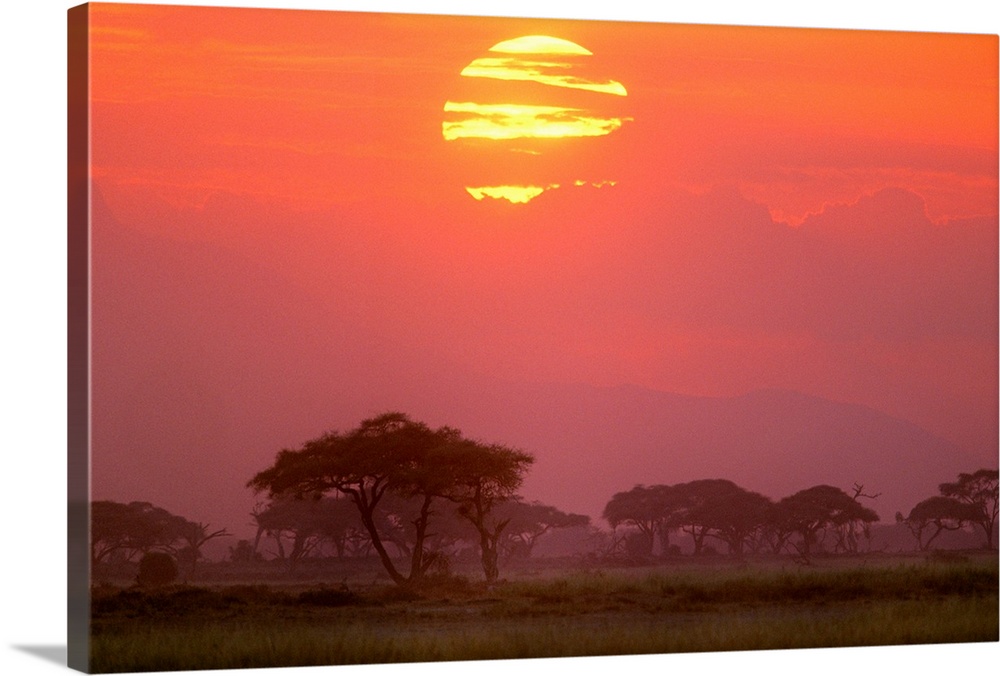 Landscape photograph of the sun setting behind streaky clouds, over a Savanna landscape or grasses and trees, in Amboseli ...