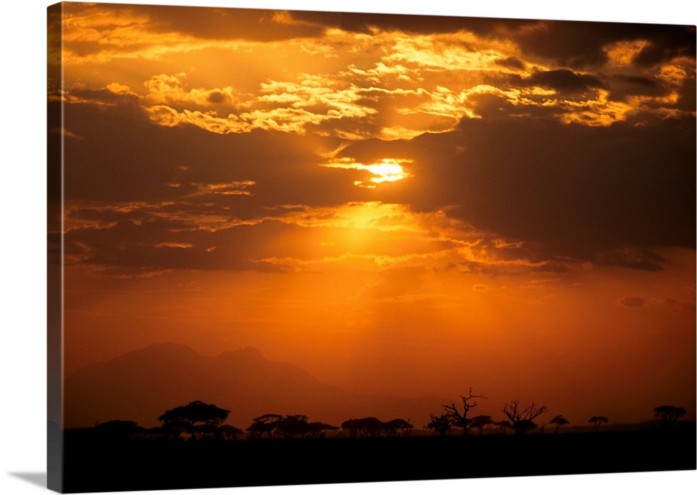 Savanna landscape, Amboseli National Park, Kenya