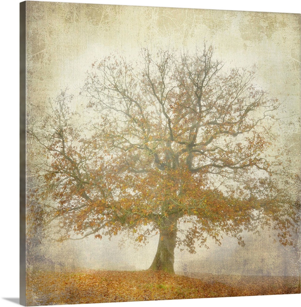 Textured Tree Wall Art, Canvas Prints, Framed Prints, Wall Peels ...
