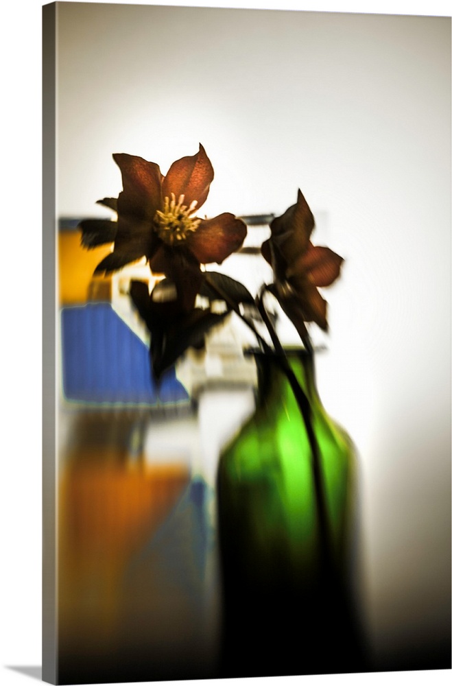 Distorted photograph of Christmas roses in a green glass jar.
