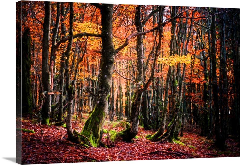 Contemporary painting of Autumn woods with mossy green tree trunks and bright orange, yellow, and red leaves.