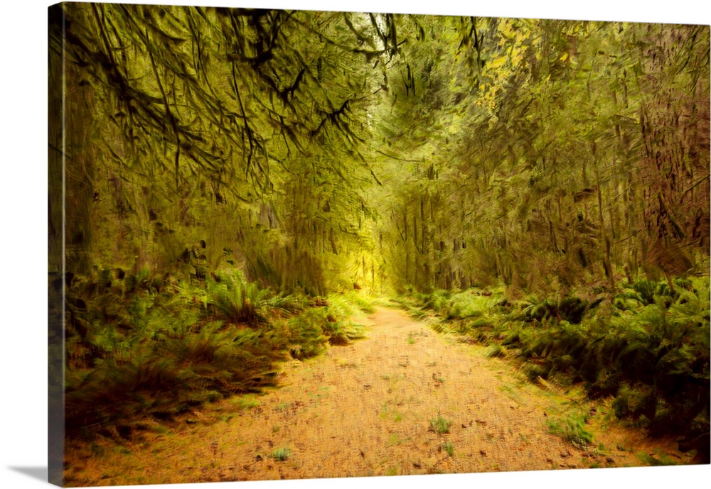 Creative image of a path in a forest.