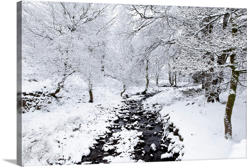A stream in winter in heavy snow with trees covered in snow.