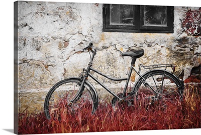 The Forgotten Bike