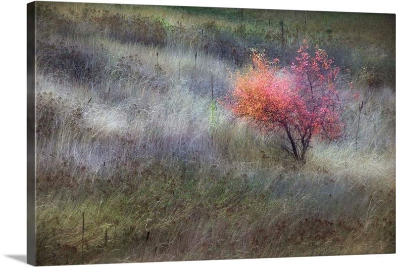 The Gentle Season | Great Big Canvas