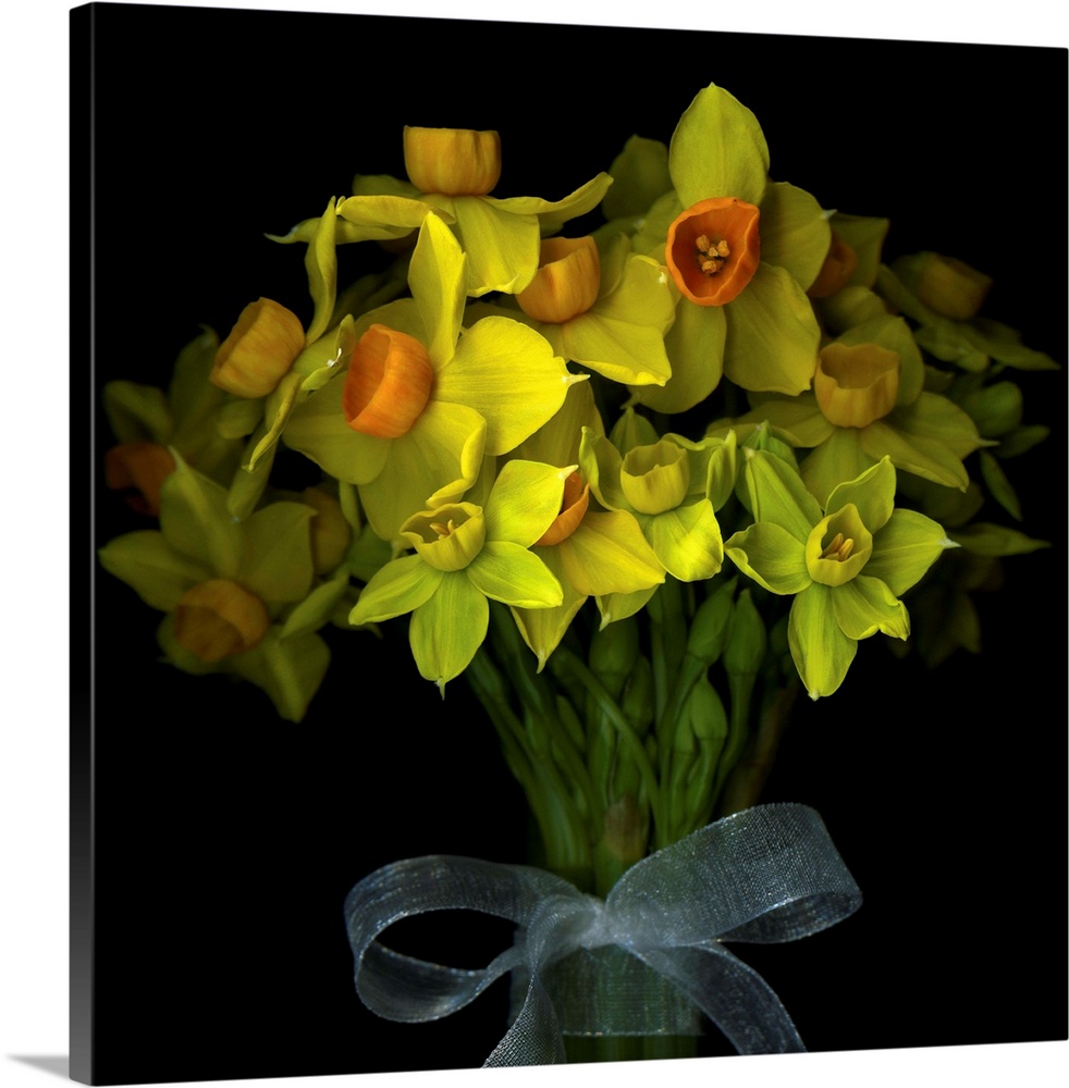 Yellow mini-daffodils bound with a ribbon.