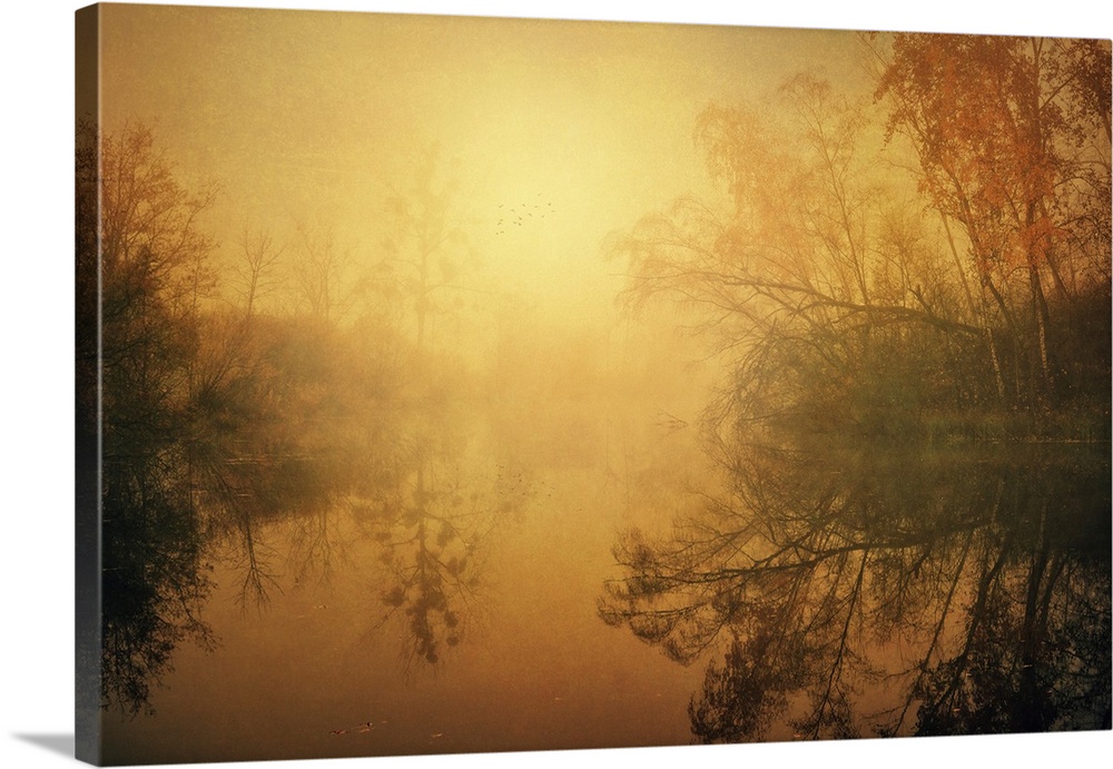 A landscape covered in a serene yellow mist