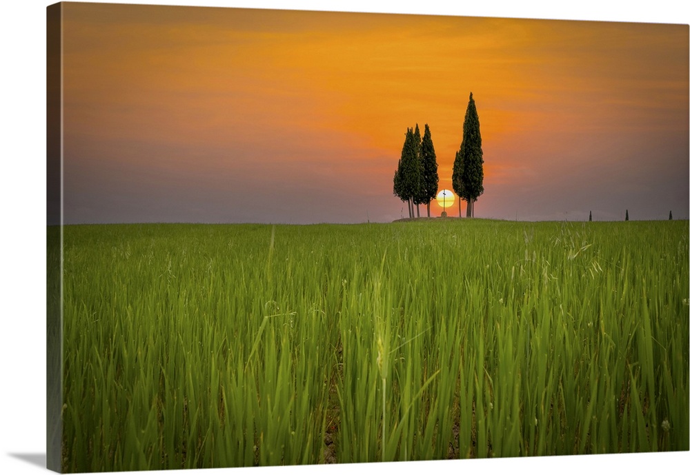 Near San Quirico d'Orcia in Tuscany there is a field cultivated with wheat with three cypresses and a cross in the middle....