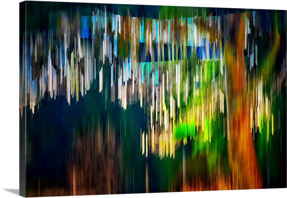 Simple ICM (Intentional Camera Movement) image of a large tree with other trees and sky behind it. The purpose of using ve...