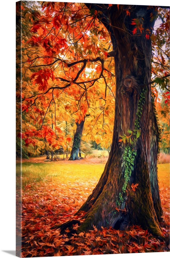 Photo Expressionism - Trees in autumn with a tree trunk in the foreground.