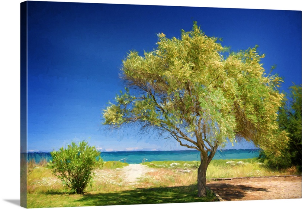 Photo painting of a lush green tree blowing in the wind with a sandy path leading to the ocean in the background.