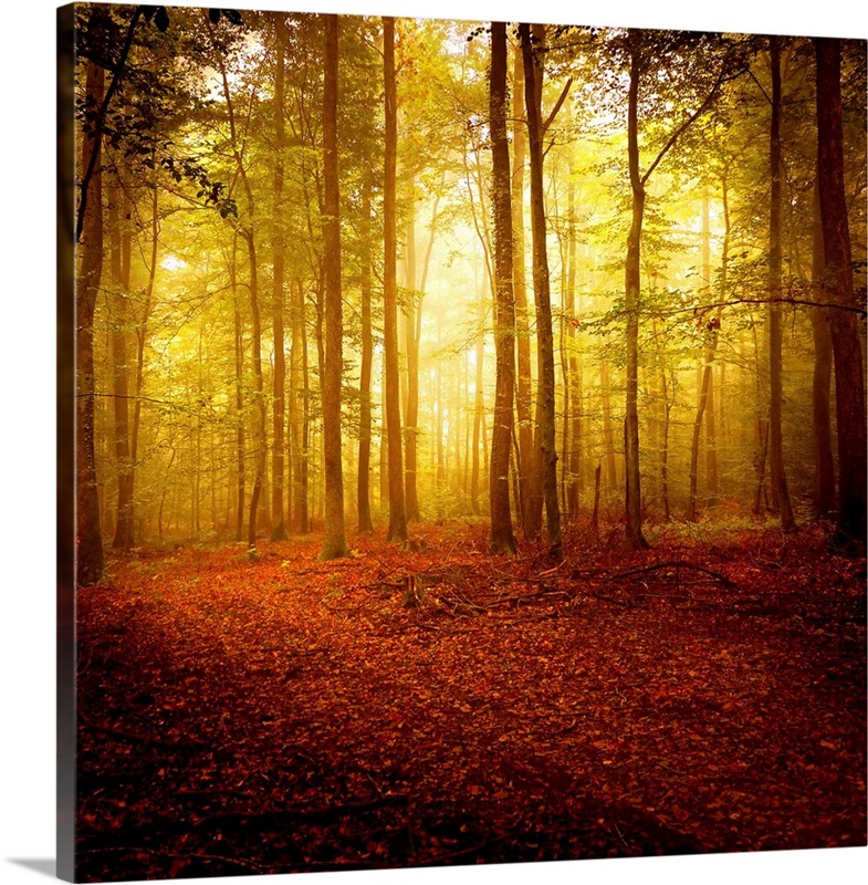 the-smell-of-autumn-wall-art-canvas-prints-framed-prints-wall-peels