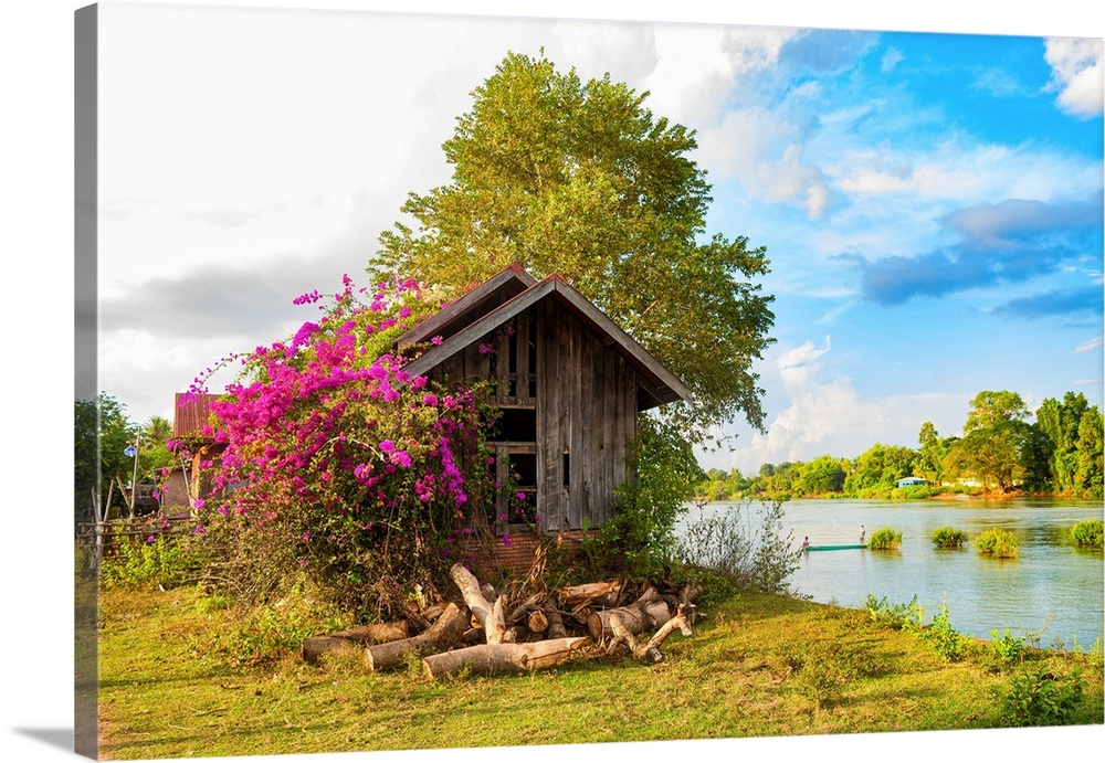 A hut with a bougainvillea in an Asian landscape