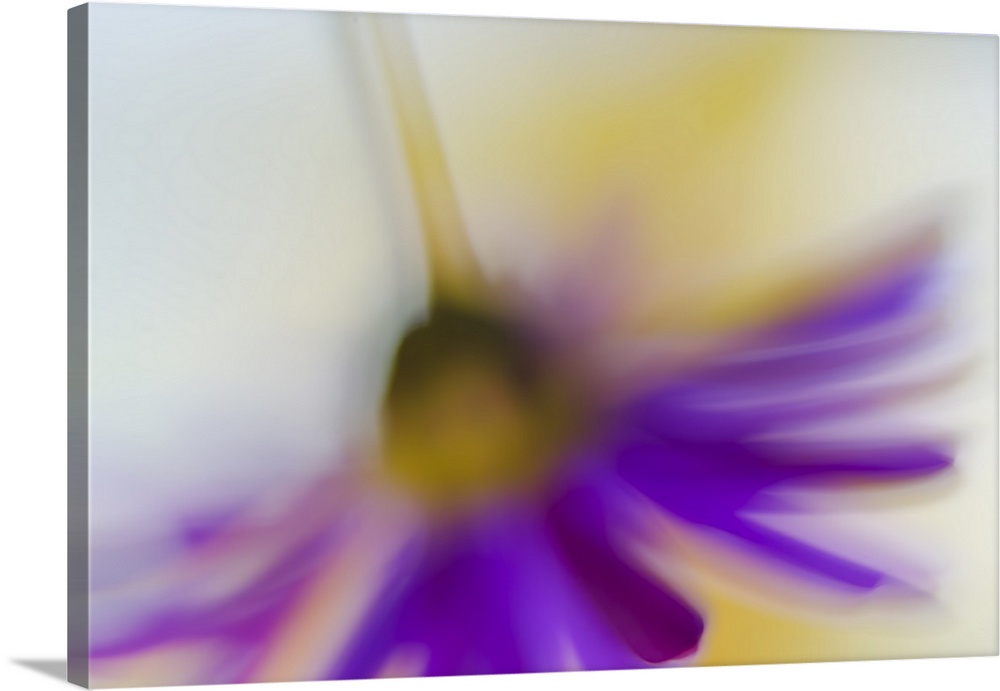 Blurred view of a purple flower hanging upside-down.
